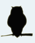 Användarens profilbild